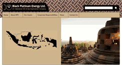 Desktop Screenshot of blackplatinumenergy.com